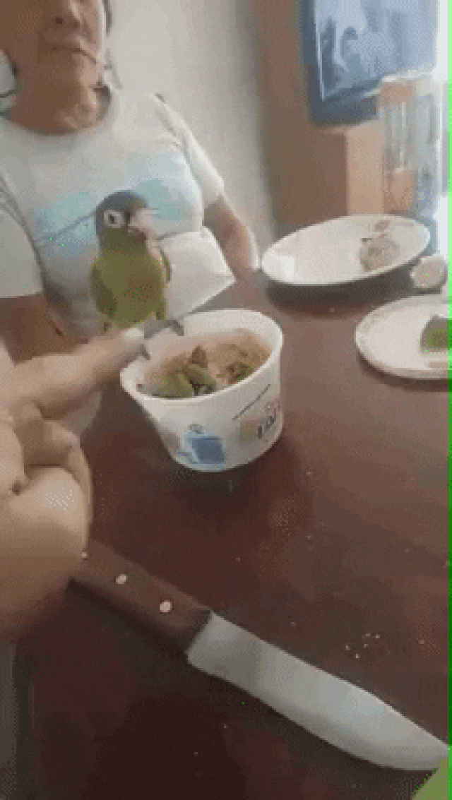 Cười thư giãn trong ngày đầu tuần mới với loạt ảnh động siêu hài hước