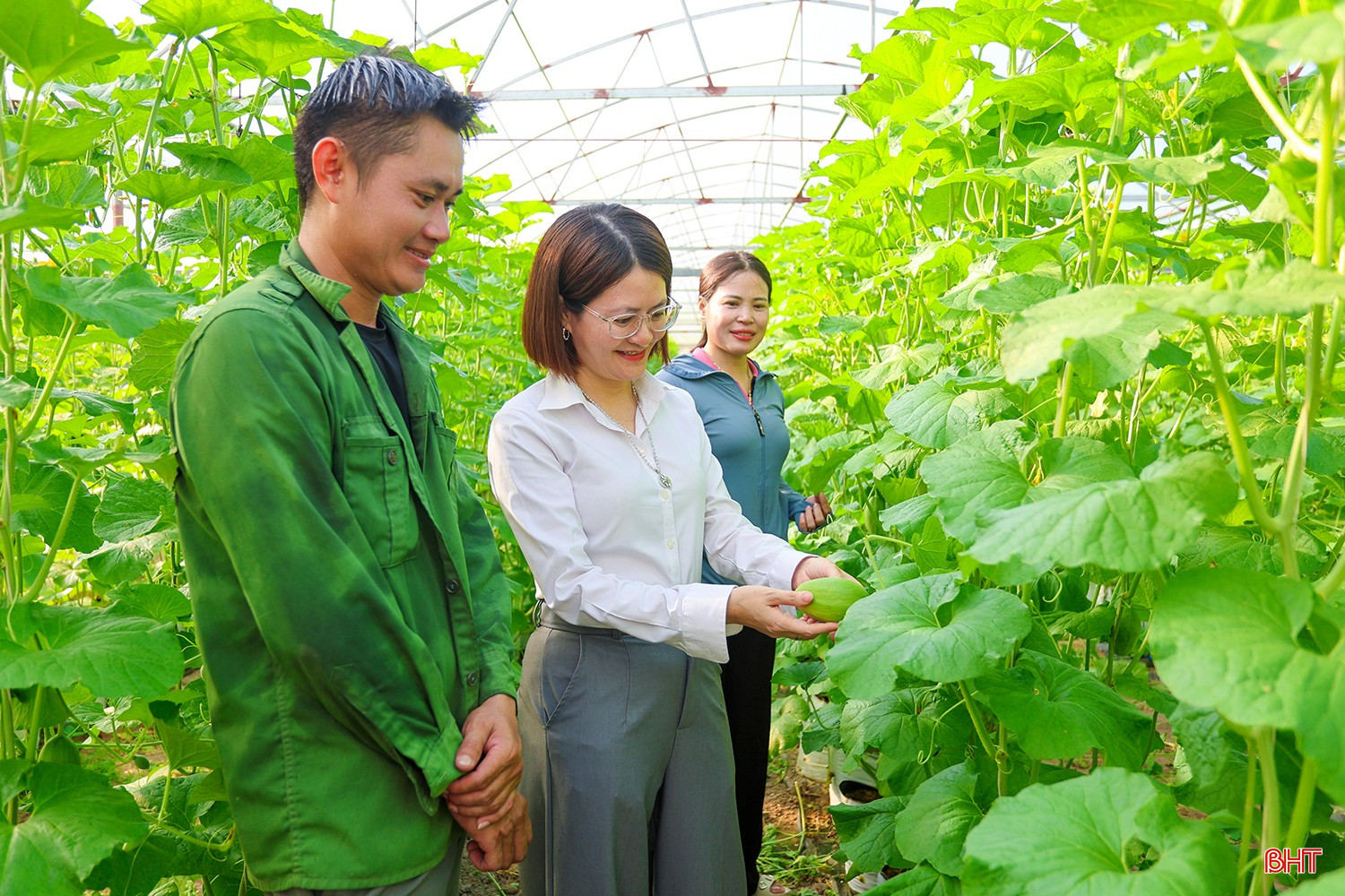 Sản xuất nông nghiệp - một trong những ngành kinh tế chủ lực của địa phương được định hướng phát triển gắn với ứng dụng khoa học công nghệ, nông nghiệp thông minh, liên kết chuỗi. bqbht_br_aimg-6058.jpg