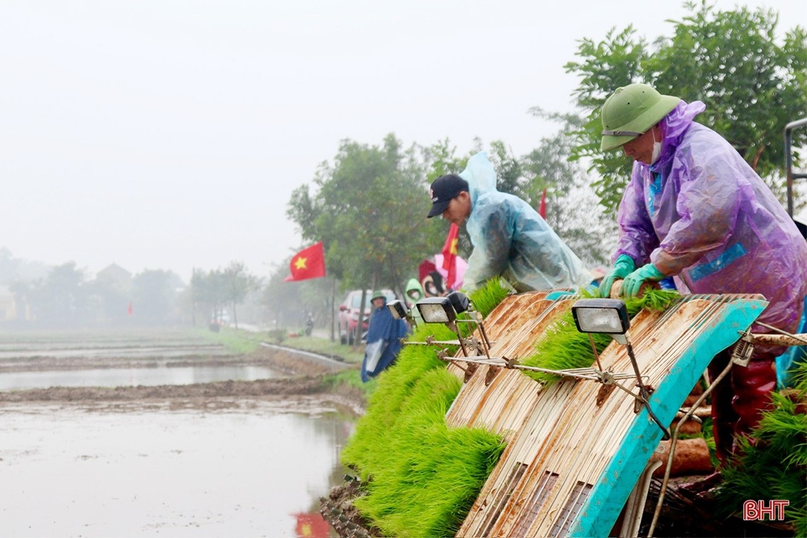 lua-que-lam-5-ha-cam-vinh.jpg
