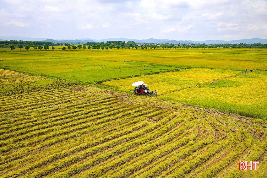 Hà Tĩnh là tỉnh nông nghiệp, vì thế nông nghiệp, nông thôn, nông dân luôn là đề tài bất tận trong lĩnh vực báo chí. bqbht_br_adji-0022-3343.jpg
