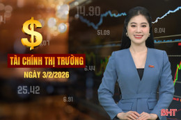 Tài chính thị trường ngày 3/2: Nông dân được mùa chuối Tết