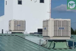 Quạt hơi nước công nghiệp NEXTFAN – Làm mát nhanh, tiết kiệm điện, bền bỉ cho nhà xưởng