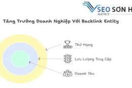 Dịch vụ Backlink Sơn Hà Agency nâng tầm giá trị doanh nghiệp