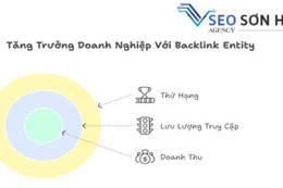 Dịch vụ Backlink Sơn Hà Agency nâng tầm giá trị doanh nghiệp