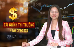 Tài chính thị trường ngày 3/1: Người tài năng vào công chức có thể hưởng mức lương hơn 58 triệu đồng/tháng