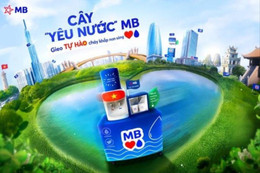 “Cây yêu nước” phủ xanh hơn 300 chi nhánh MB: Gieo tự hào chảy khắp non sông