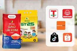 Gạo Lài KDM vs gạo ST25: Nên chọn loại nào?