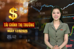 Tài chính thị trường ngày 12/9: EVN đề xuất xử phạt lắp đặt điện mặt trời mái nhà không đăng ký