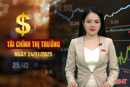 Tài chính thị trường ngày 24/11: VinFast Hà Tĩnh xuất xưởng 8.580 xe điện sau 3 tháng vận hành