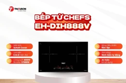 Gia đình trẻ sống ở chung cư nên dùng bếp từ đôi nào?