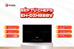 Gia đình trẻ sống ở chung cư nên dùng bếp từ đôi nào?