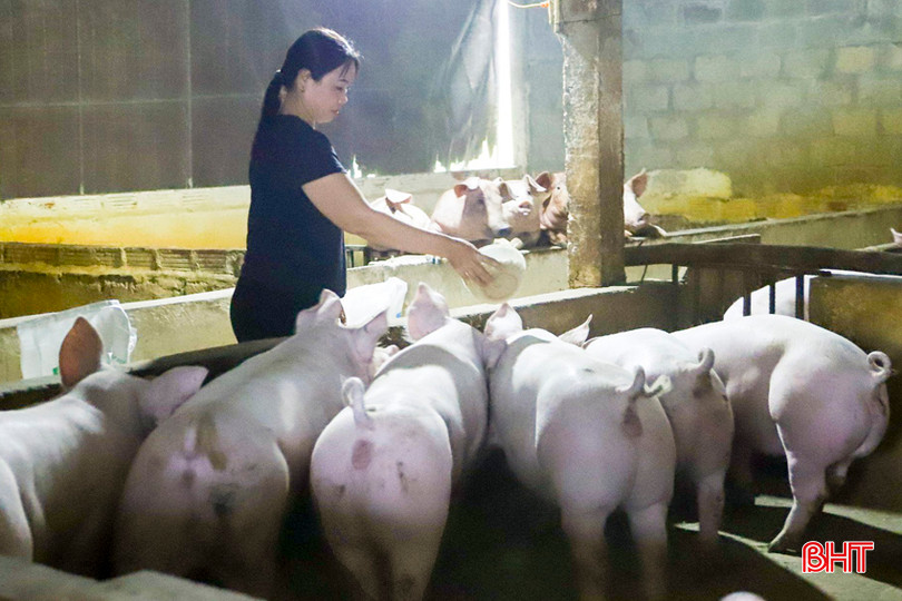 Tham gia "Nhóm cộng đồng giúp nhau thoát nghèo bền vững", chị Nguyễn Thị Ngọc đã hỗ trợ các thành viên khác vay vốn sản xuất. 555.jpg