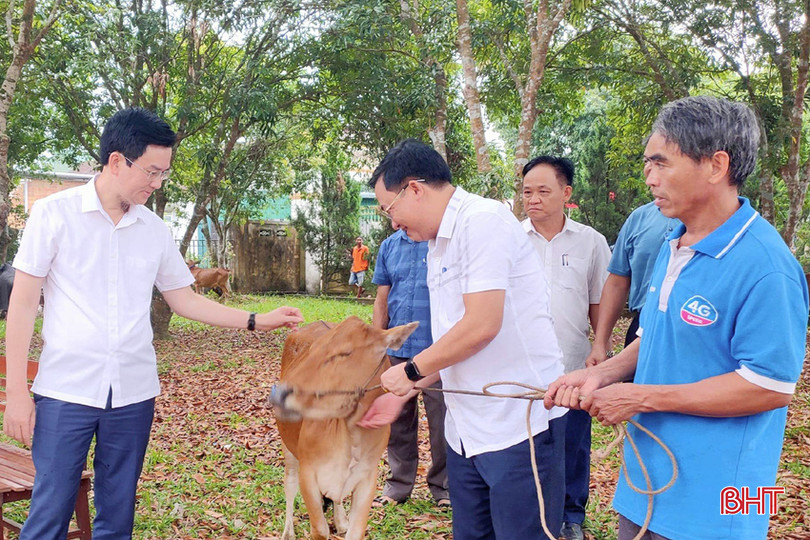 Ủy ban MTTQ huyện Hương Khê trao mô hình sinh kế cho hộ nghèo. 7.jpg