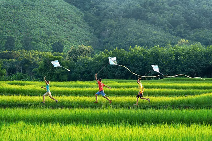 20/3 được chọn là Ngày Quốc tế hạnh phúc từ năm nào? ảnh 4