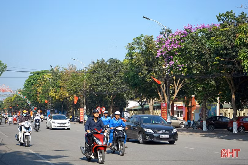 Mùa hạ đã về...