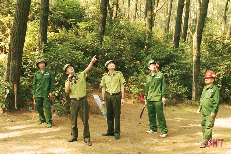 Liên quan đến vụ cháy rừng ở Nghi Xuân: Cơ quan điều tra tạm giữ một người đàn ông để làm rõ