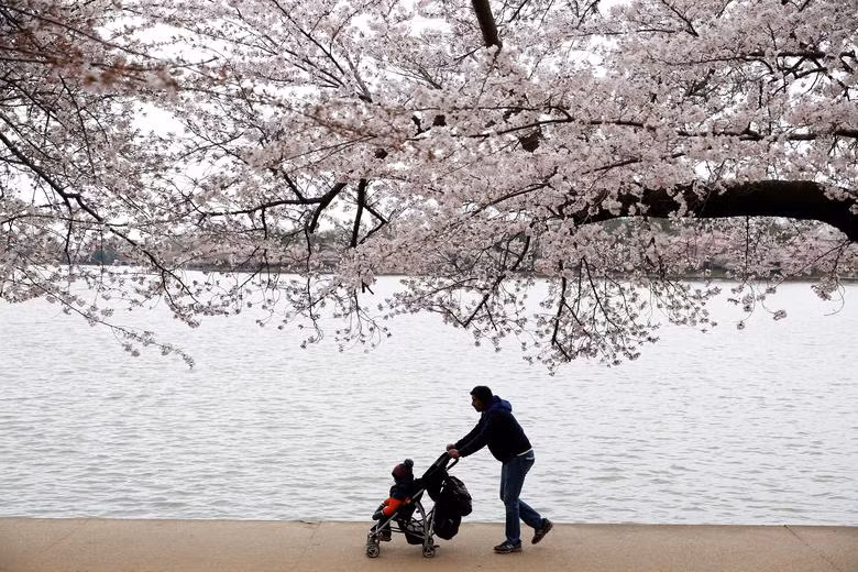 11 lời khuyên của WHO giúp bảo vệ sức khỏe và sự phát triển của trẻ