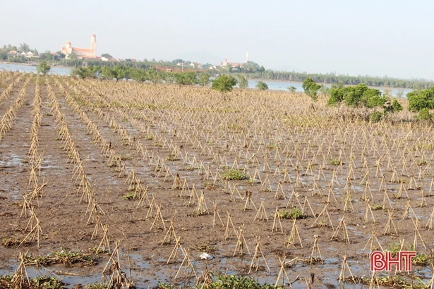 “Phao cứu sinh” quản lý nguồn nước đô thị Hà Tĩnh