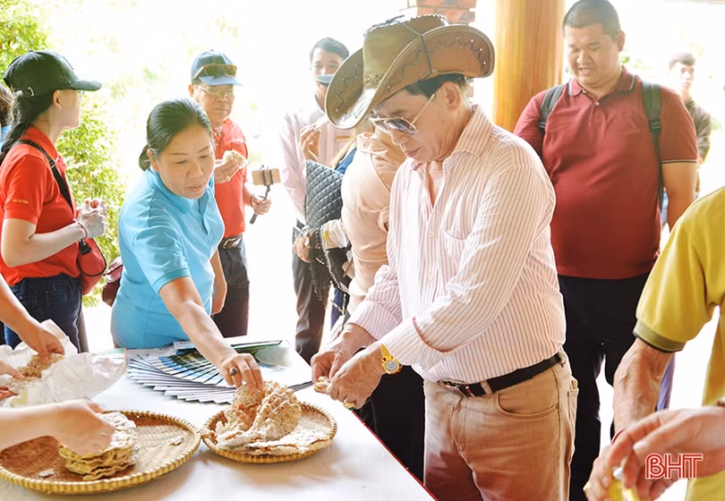 Du khách quốc tế, trong nước tham quan các điểm du lịch Hà Tĩnh