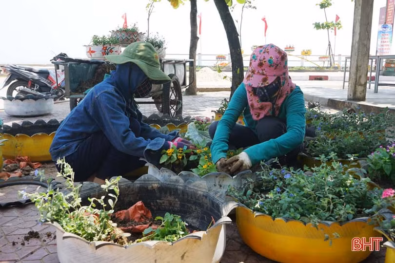 Tái chế lốp xe cũ thành giàn hoa trang trí bãi biển
