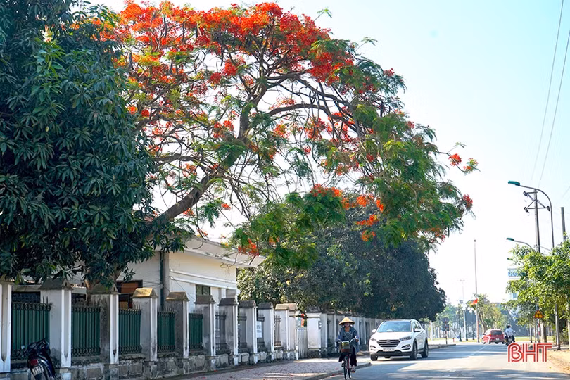 Mùa hạ đã về...