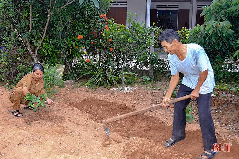 Về Hà Tĩnh, ngắm vườn mẫu trên quê hương Tổng Bí thư Hà Huy Tập