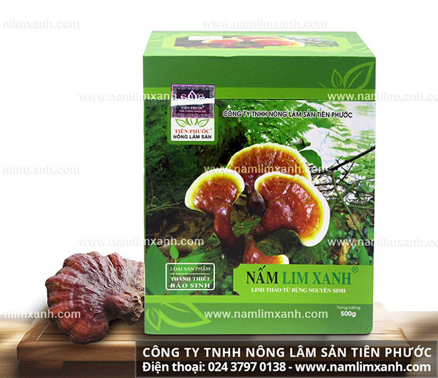 Giá nấm lim xanh tác dụng tốt mua ở TP HCM, Hà Nội và 63 tỉnh, thành