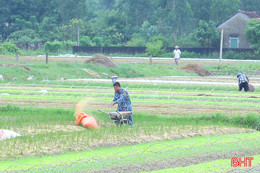 Nông dân Hà Tĩnh bám đồng sản xuất vụ đông