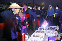 Biển lặng, trời êm, ngư dân Hà Tĩnh phấn khởi đón nhiều “lộc biển”