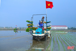 Chủ động sản xuất, tạo đột phá trong vụ xuân 2026