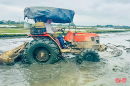 Nông dân phấn khởi xuống đồng sản xuất đầu năm mới