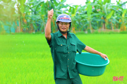 Đồng lúa “thì con gái”: Chăm đúng lúc, quyết định cả vụ mùa