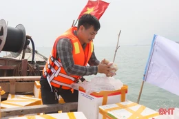 Thả ngao tím góp phần phục hồi nguồn lợi thủy sản ven biển