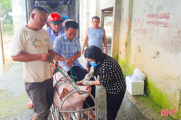 Mua bán gia súc nhiễm bệnh là vô trách nhiệm với cộng đồng