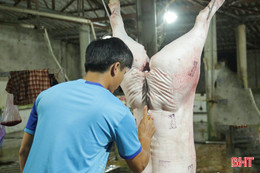 Thị trường giảm sâu, các lò giết mổ gia súc Hà Tĩnh “lao đao”