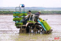 Hà Tĩnh hướng đến nền nông nghiệp xanh từ sản xuất giảm phát thải