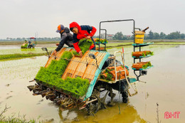 Ứng dụng khoa học kỹ thuật, canh tác lúa giảm phát thải trong vụ xuân 2026