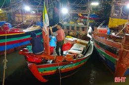Đánh bắt sai nghề trong giấy phép, 4 tàu cá bị phạt 65 triệu đồng