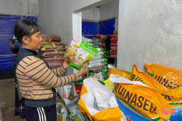 Hà Tĩnh siết chặt công tác quản lý cung ứng giống lúa