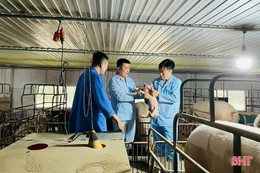 Hà Tĩnh kiểm soát dịch bệnh, an toàn sinh học trong chăn nuôi lợn