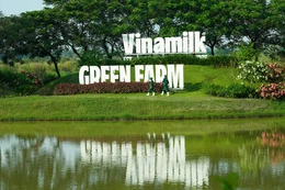Trang trại Vinamilk Green Farm có gì đặc biệt? 