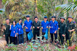 Phong trào làm “bom hạt giống” - hành động nhỏ, ý nghĩa lớn