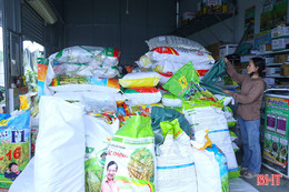 Vì sao giá giống lúa xuân ở Hà Tĩnh cao hơn thị trường ngoại tỉnh?