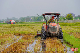 Vụ hè thu 2025: Ưu tiên giống ngắn ngày, hạn chế rủi ro do thiên tai
