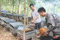 Rong ruổi cùng người nuôi ong du mục giữa núi rừng Hà Tĩnh