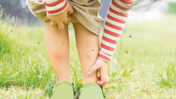 Những điều có thể bạn chưa biết về sốt xuất huyết Dengue 2 Những điều có thể bạn chưa biết về sốt xuất huyết Dengue