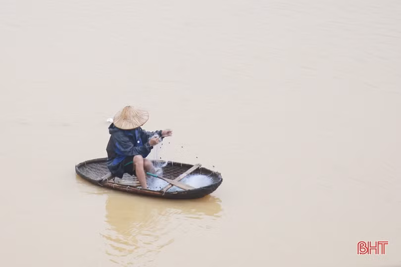 Người dân Hà Tĩnh liều mình đánh bắt cá giữa dòng nước lũ