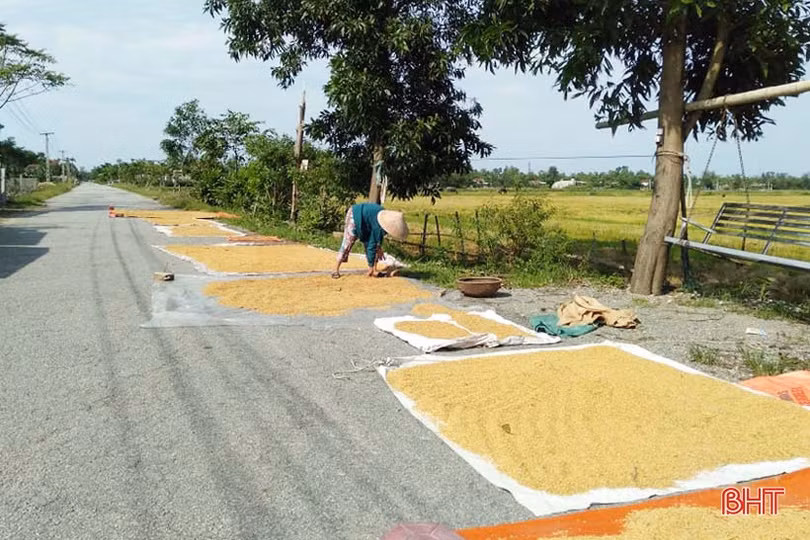 Nông dân Hà Tĩnh sau mưa lũ: Một ngày nắng bằng vạn ngày mưa