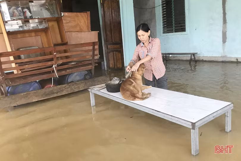 Nước vây tứ phía, người dân Hương Khê tất tưởi ôm đồ chạy lũ