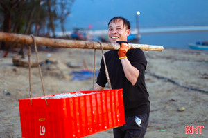 Ngư dân miền biển phía Nam Hà Tĩnh trúng đậm cá cơm